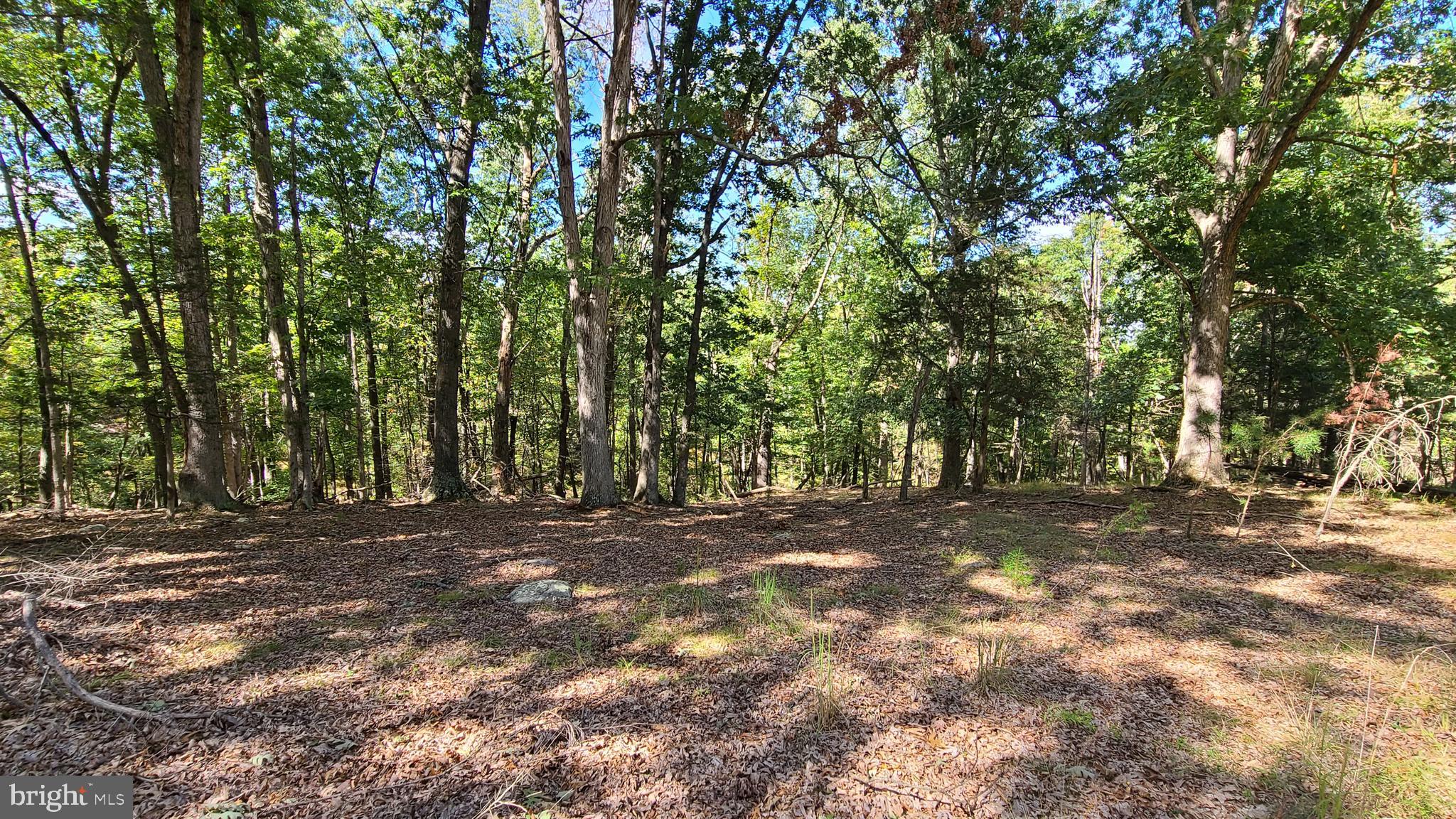 Nice wooded building lot in cul-de-sac at Highland Estates Subdivision off of Johnson Run Rd, Petersburg. Quiet neighborhood on the outskirts of town. Public Water hookup available, Electric available. Property Owners Association, Some Covenants & Restrictions apply.