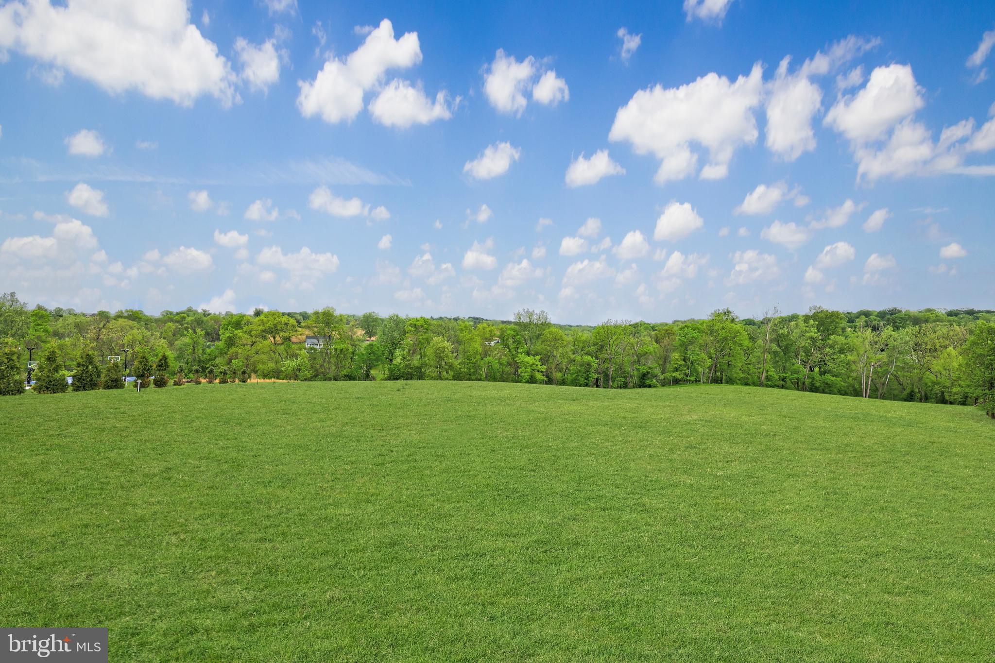 HUNT RIDGE PRESERVE - Residential