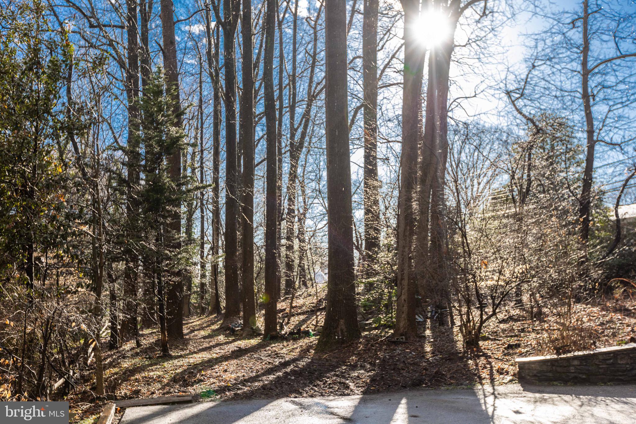 FELLOWSHIP FOREST - Residential