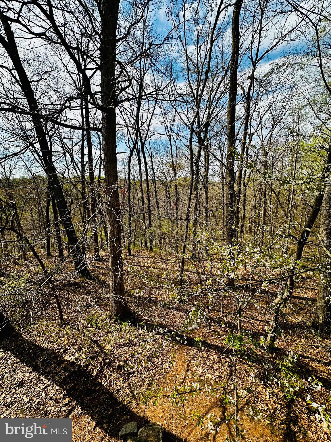 WINTERS RUN MANOR - Residential