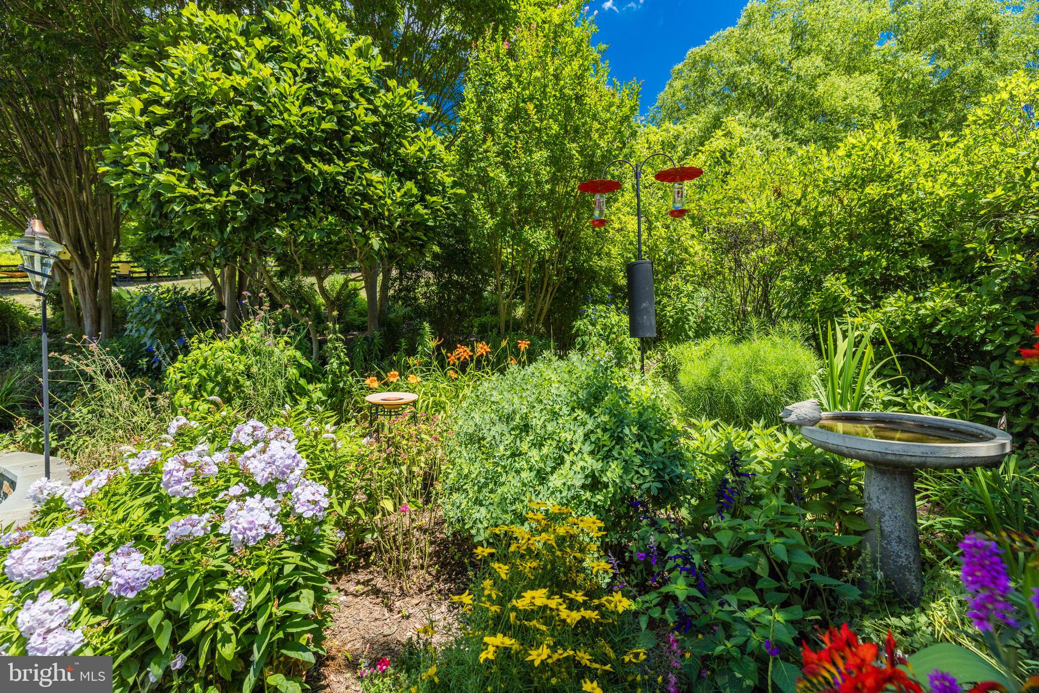 BEACON HILL - Residential