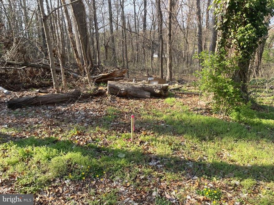 Centrally located parcels south of Riverdale Road, ready for your vision. Parcels 7C and 7D offer a combined 12,500 sq ft and are zoned Rural Residential within the Wildercroft Subdivision. Situated approximately 200 ft from Riverdale Rd and near the Metro F4/F6 line, utilities including electric, water, and sewer are available for connection. A survey plat is attached, identifying deeded access via a 30-ft private drive.