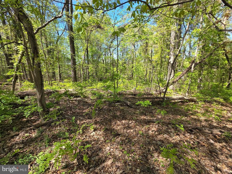 Centrally located just south of Riverdale Road, these parcels are ready for your vision. Parcels 7C and 7D offer a combined 12,500 sq ft and are zoned Rural Residential within the Wildercroft Subdivision. Positioned approximately 200 ft from Riverdale Rd and near the Metro F4/F6 line, utilities including electric, water, and sewer are available for connection. A survey plat is attached, identifying deeded access via a 30-ft private drive. A rare opportunity to create a private, tucked-away setting while remaining highly accessible—approximately 30 minutes to DC and 5 minutes to New Carrollton Metro.. Beyond the provided survey, all construction and development due diligence shall be conducted by the purchaser.