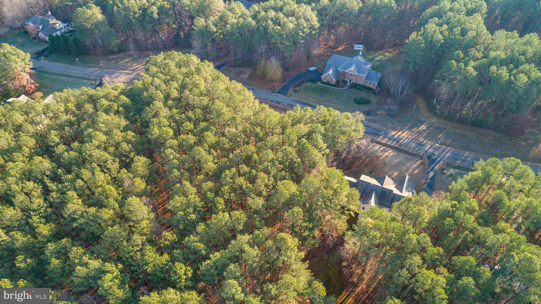 CHANCELLORSVILLE HUNT - Residential