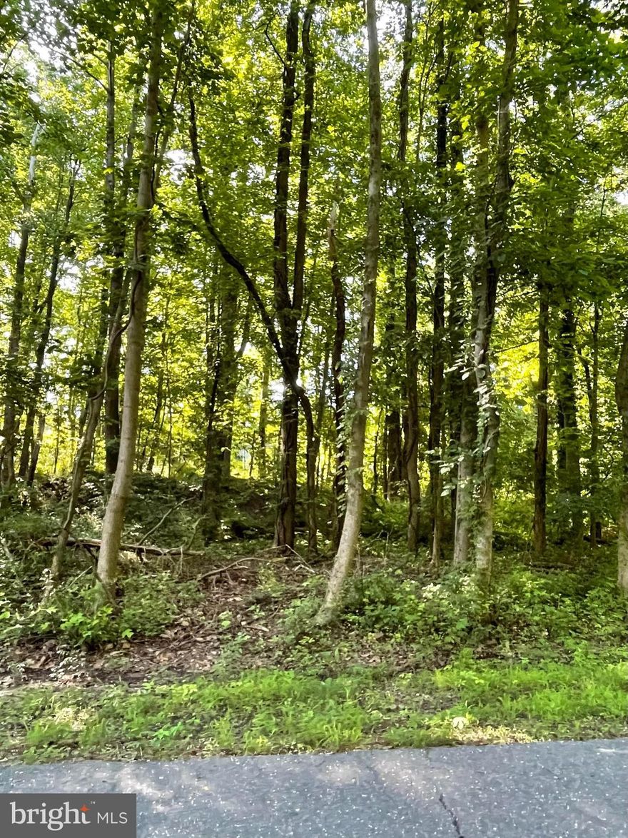 4329 Flora Ave is a lot available for sale in Chesapeake Heights, Prince Frederick, Maryland.  This lot is raw land.