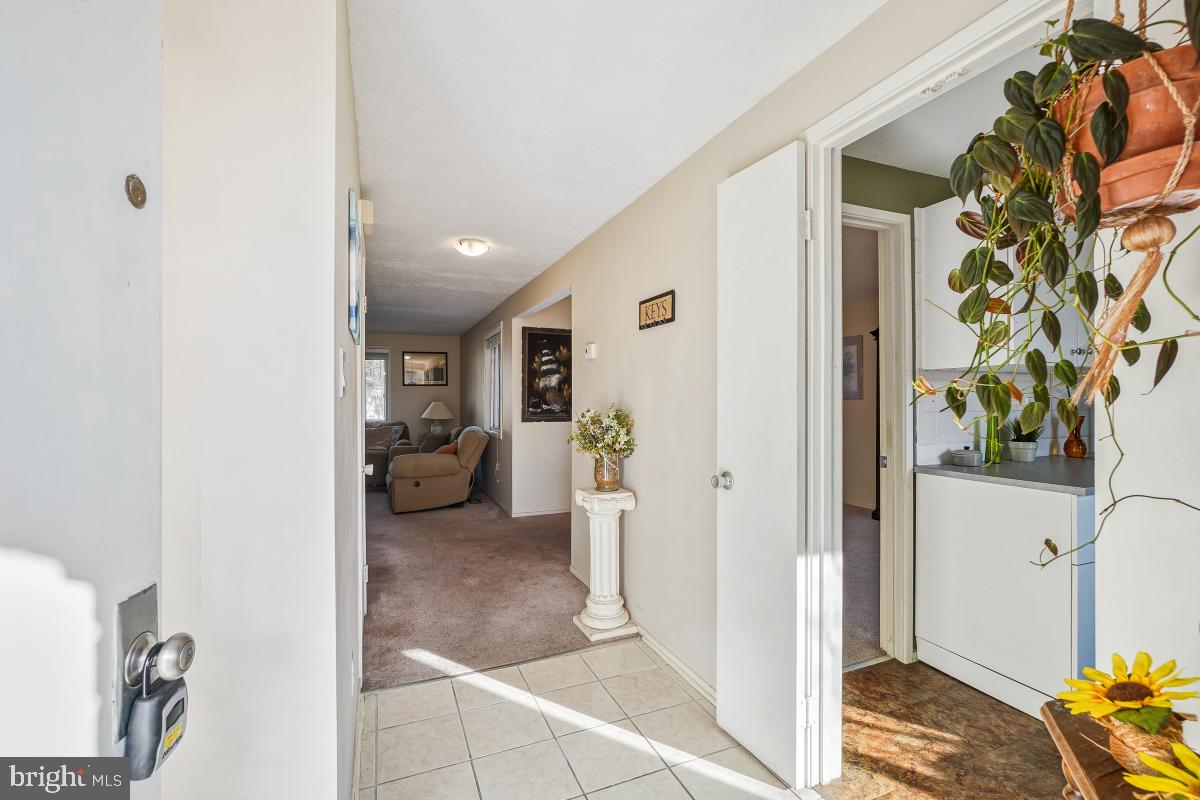 10559 CAMBRIDGE COURT