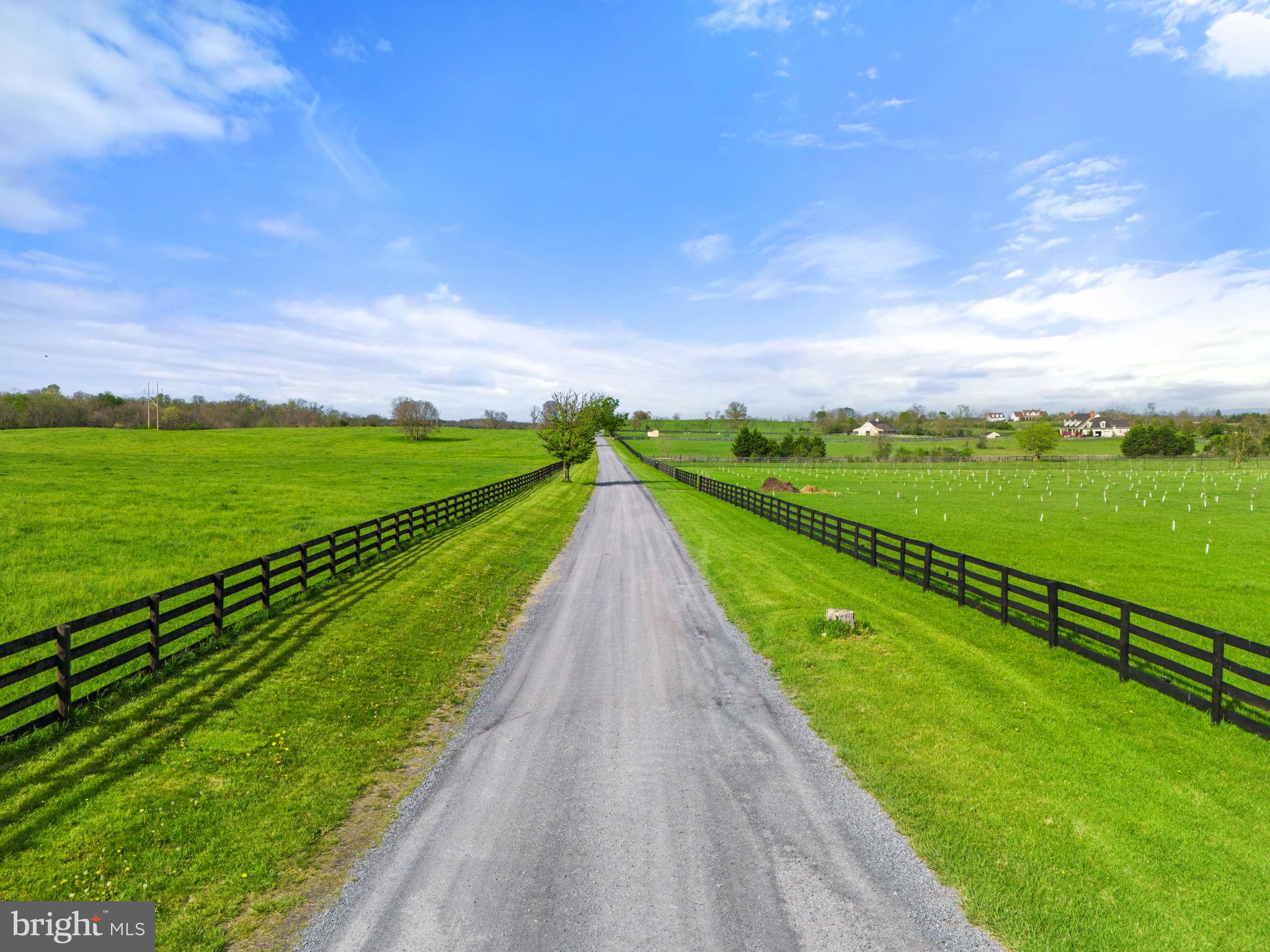 OUR LADY OF GOOD SUCCESS - Farm