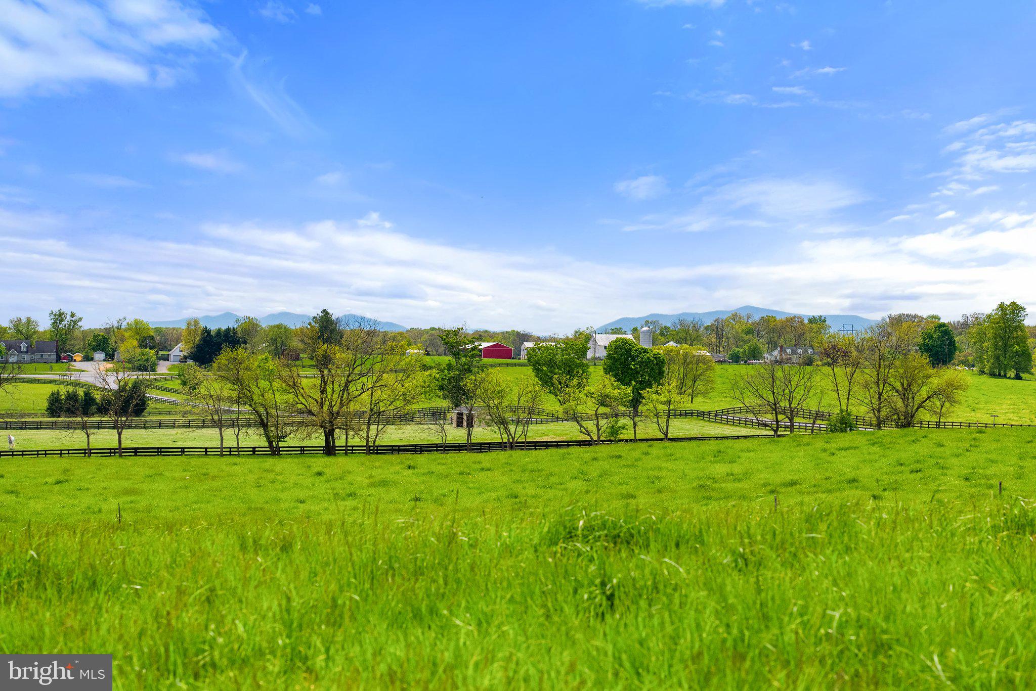 OUR LADY OF GOOD SUCCESS - Farm