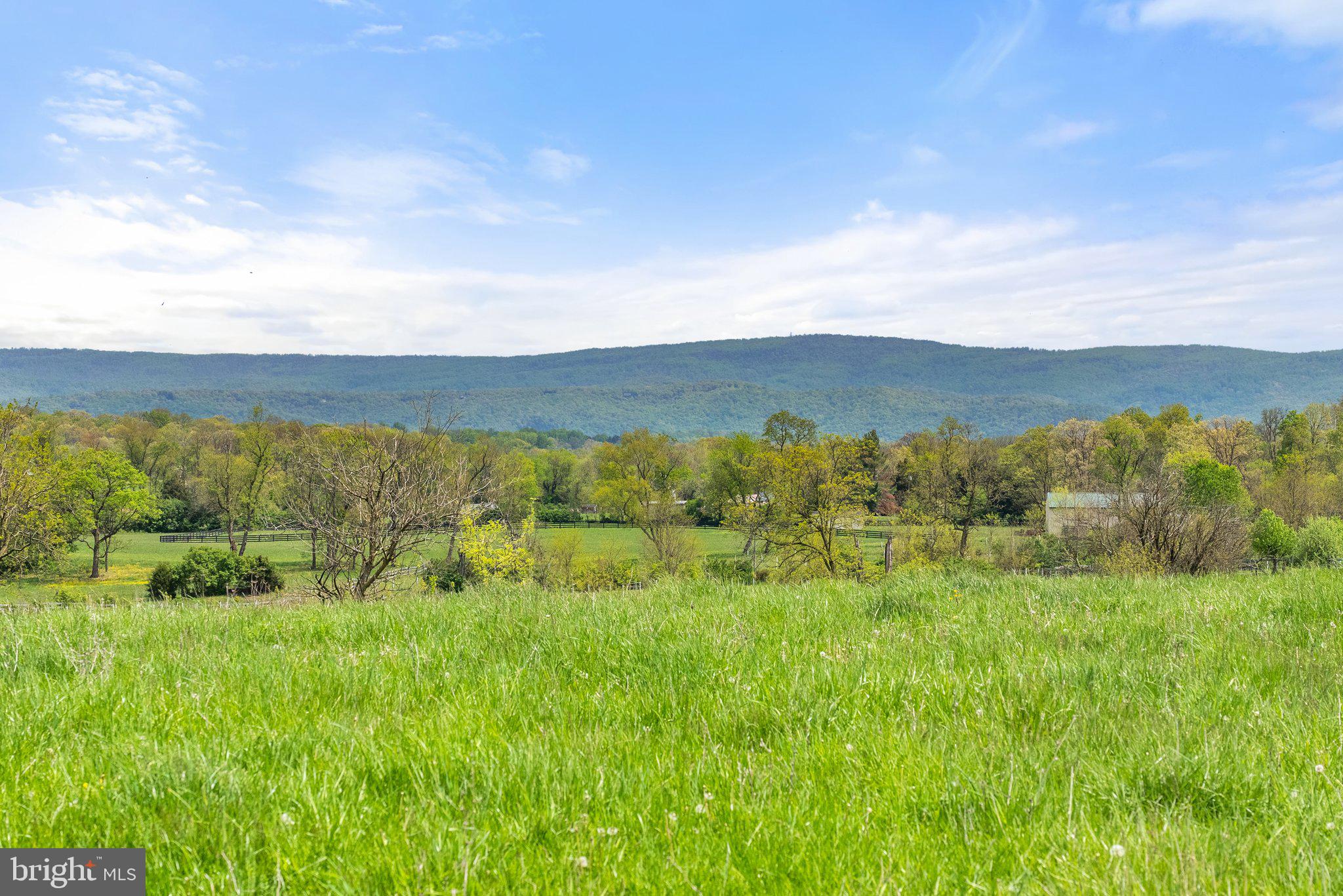 OUR LADY OF GOOD SUCCESS - Farm
