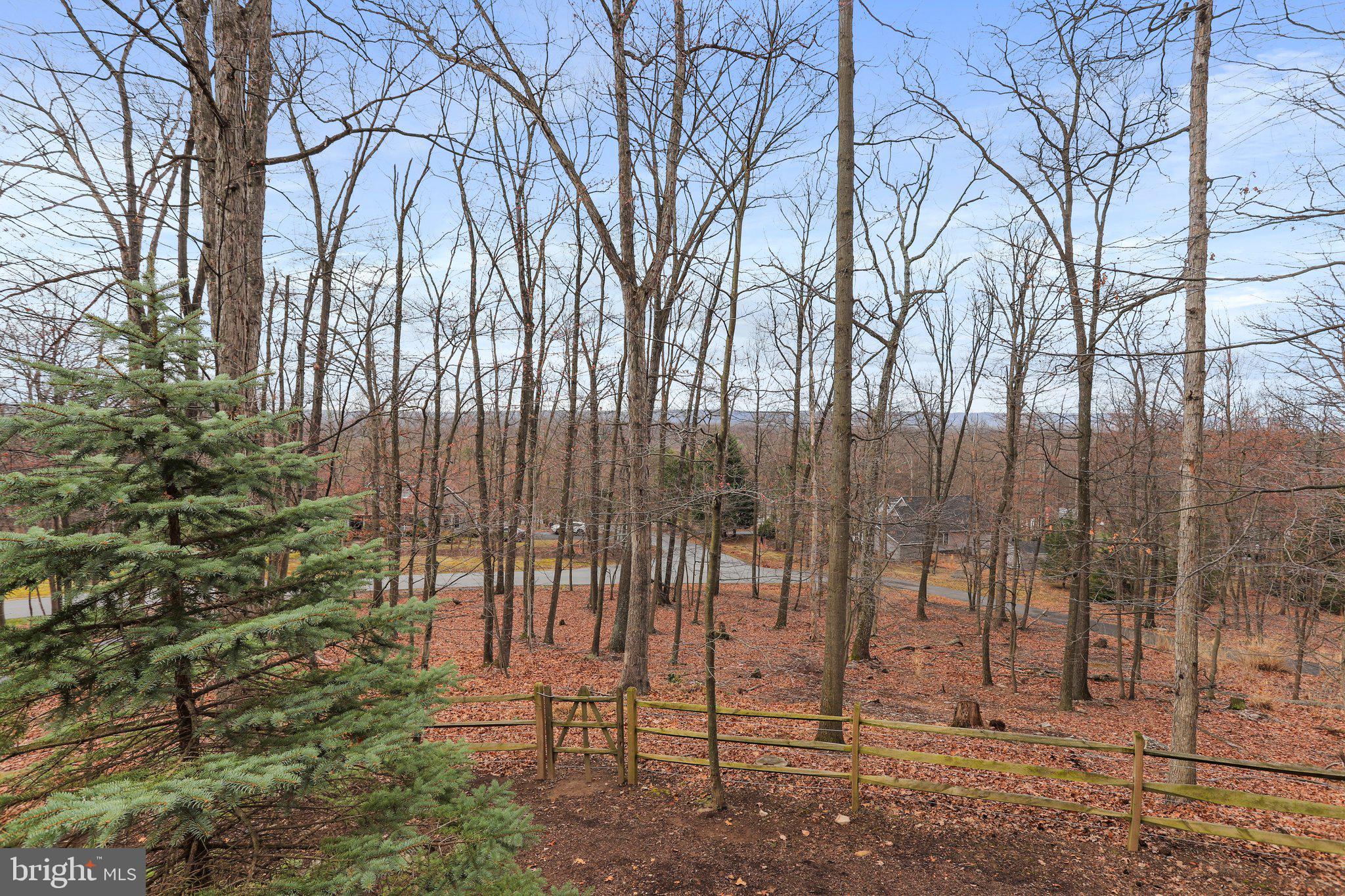 THE WOODS - Residential