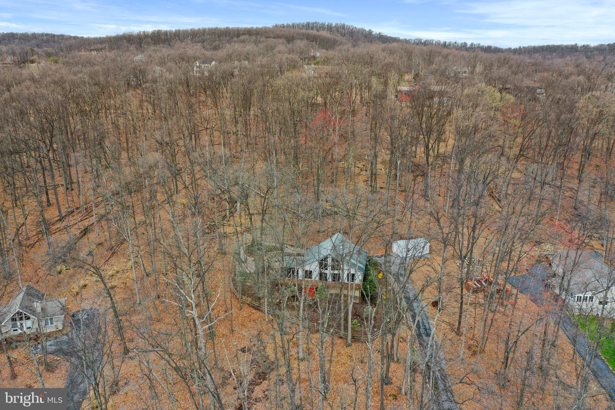 THE WOODS - Residential