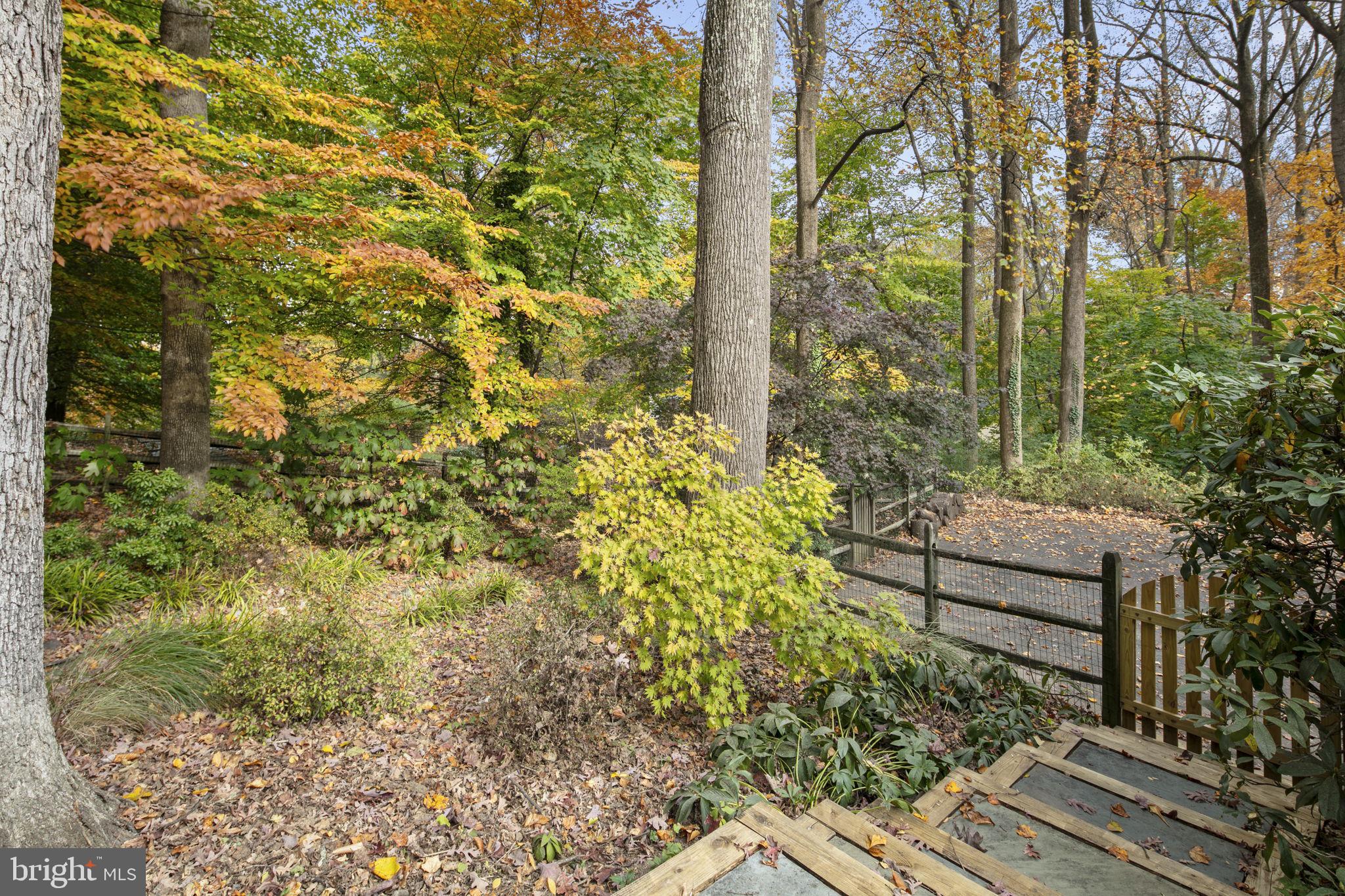 WOODLAND ACRES - Residential