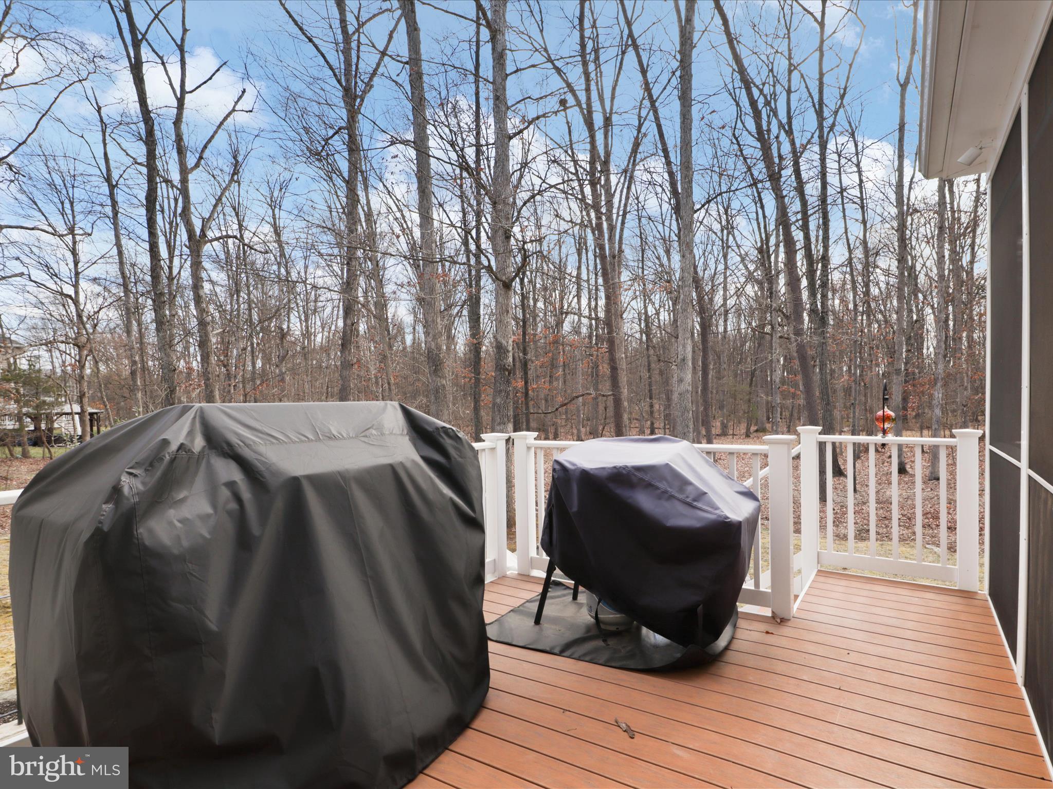 GREENE MILL PRESERVE - Residential