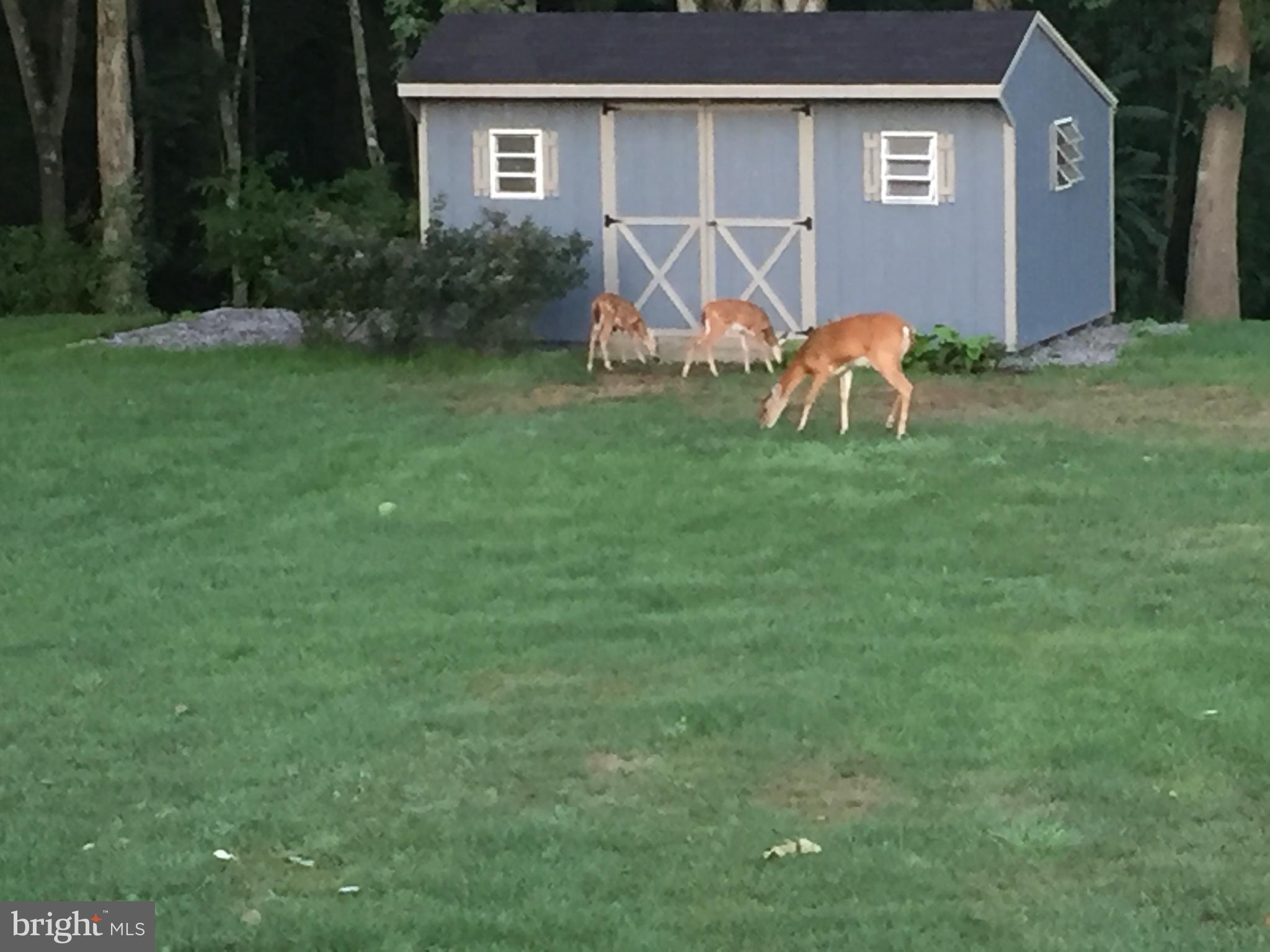 ROCKWELL FARMS - Residential