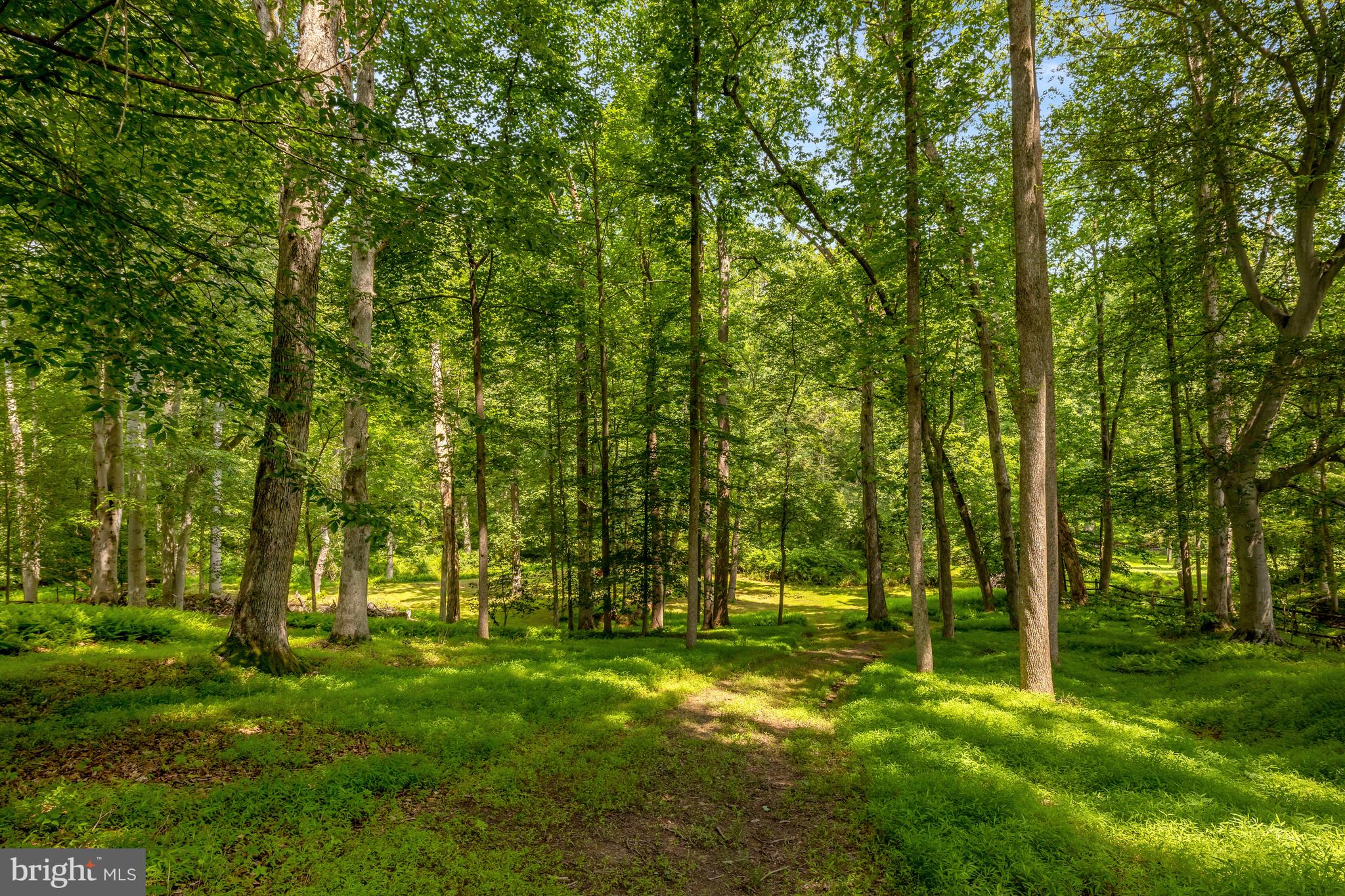 POTOMAC - Residential