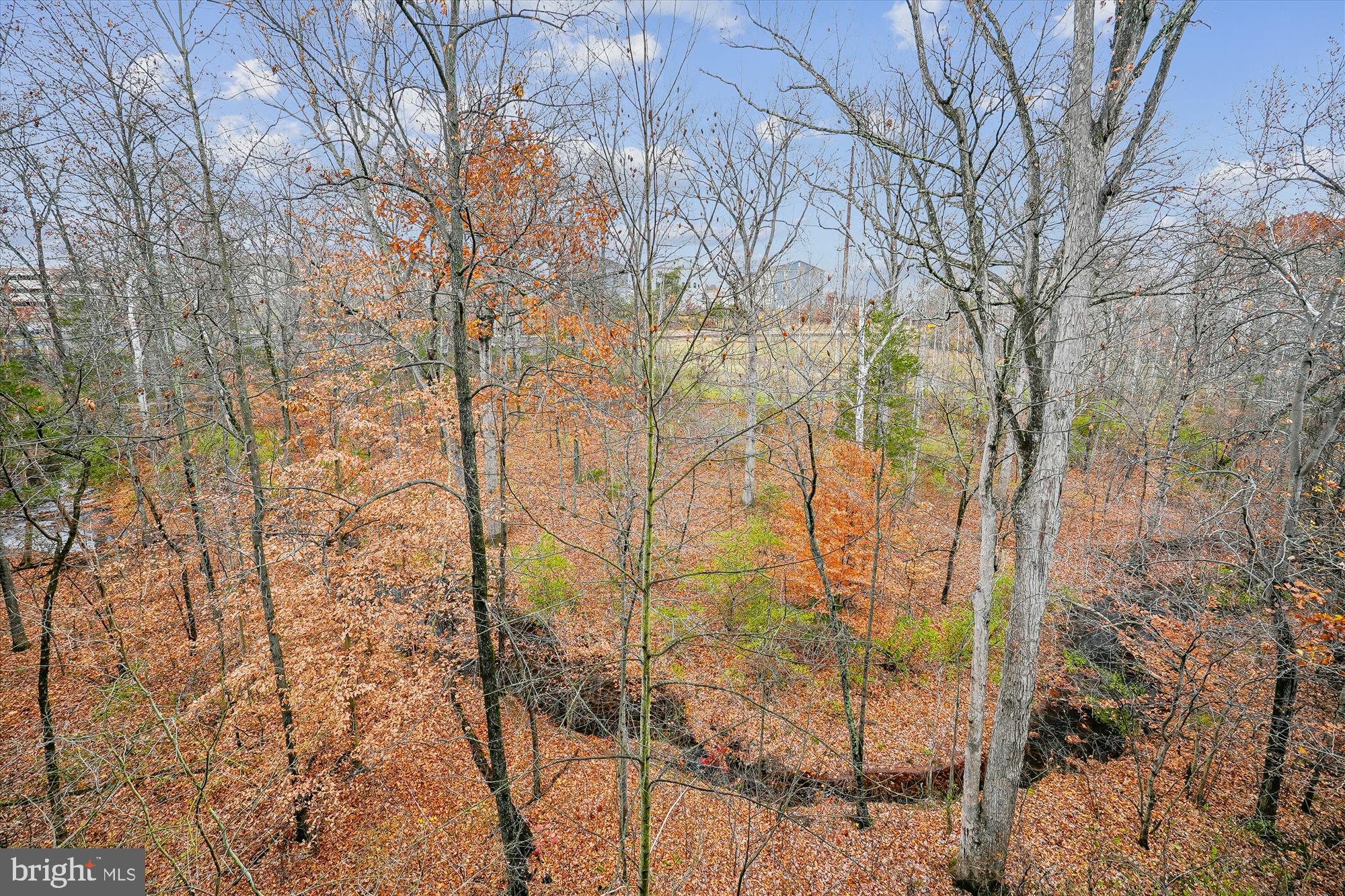 THE RESERVE CONDOMINIUMS - Residential