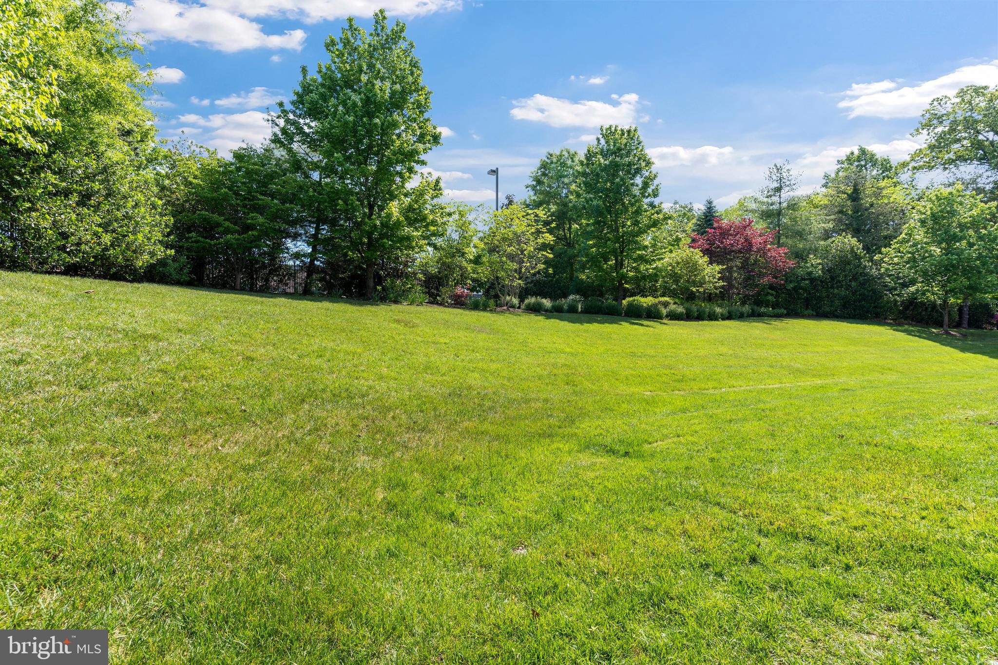 THE VINEYARDS OF ANNAPOLIS - Residential
