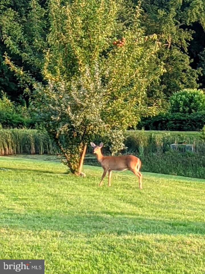 ANTEGO WOODS - Residential