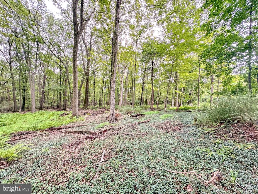 Pine Hollow Drive - Prime Lot Near Jim Thorpe! Discover this partially cleared lot, just under 1 acre (0.918 acres) in Lehighton's Ukrainian Homestead Section 1. The property offers a level setting with 200 ft frontage, making it ideal for building your dream retreat or investment property. Located in a quiet, residential area within the Lehighton Area School District, this parcel is outside flood zones and has low taxes ($340/yr). Best of all, you're only minutes from the historic town of Jim Thorpe, known for its boutique shops, dining, festivals, Lehigh Gorge trails, whitewater rafting, and year-round entertainment. Enjoy the perfect balance of privacy and accessibility to everything the Poconos has to offer!