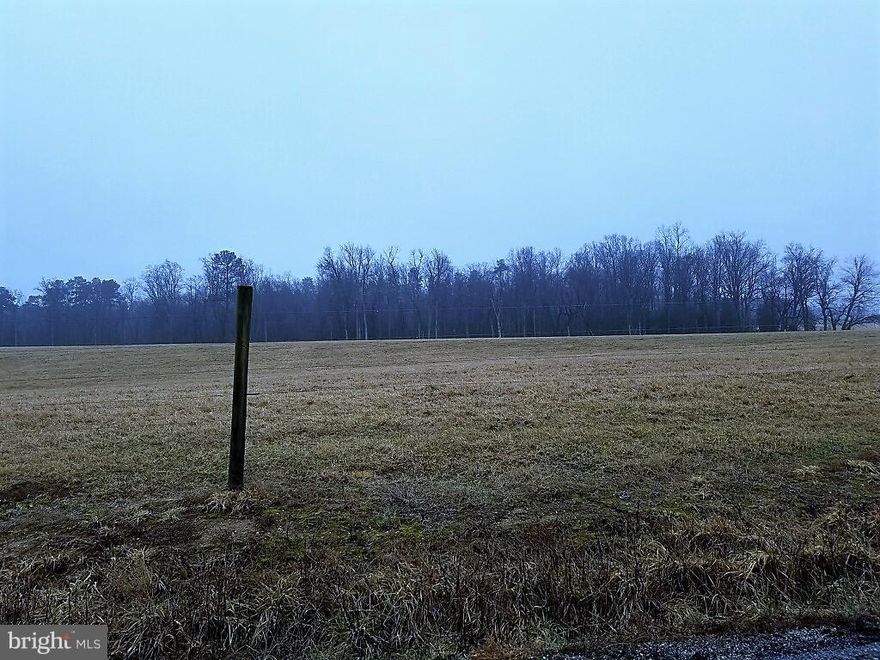 Over 48 Gorgeous Acres!