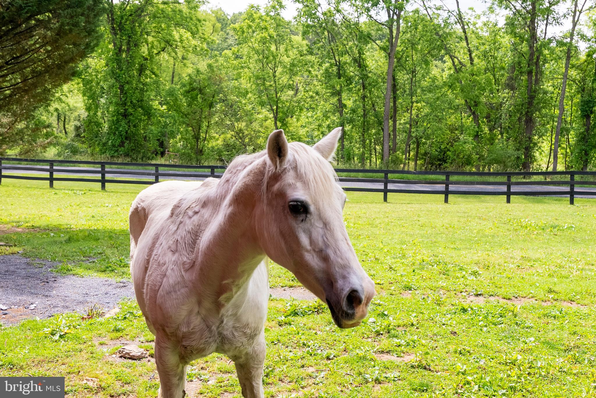 HAMPSTEAD - Residential