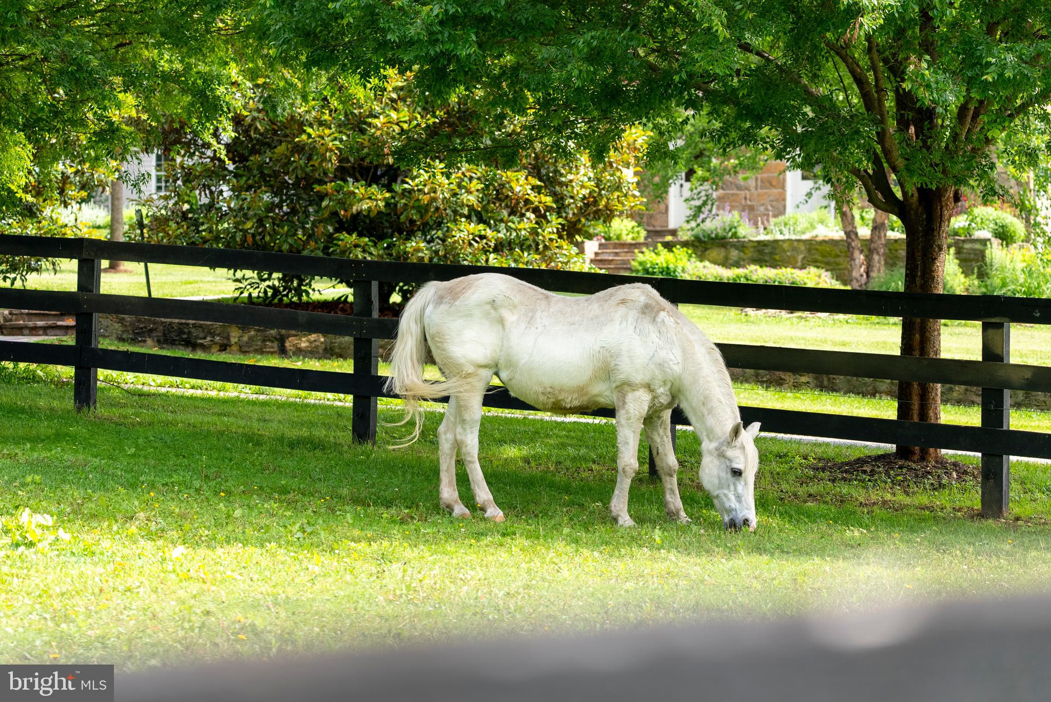 HAMPSTEAD - Residential