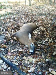 NONE AVAILABLE - Land