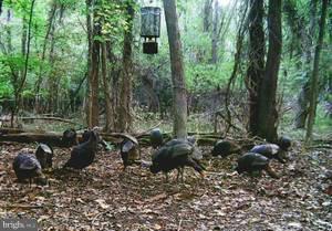 NONE AVAILABLE - Land