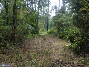 NONE AVAILABLE - Land