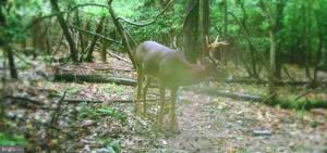 NONE AVAILABLE - Land