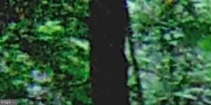 NONE AVAILABLE - Land