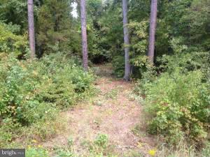 NONE AVAILABLE - Land