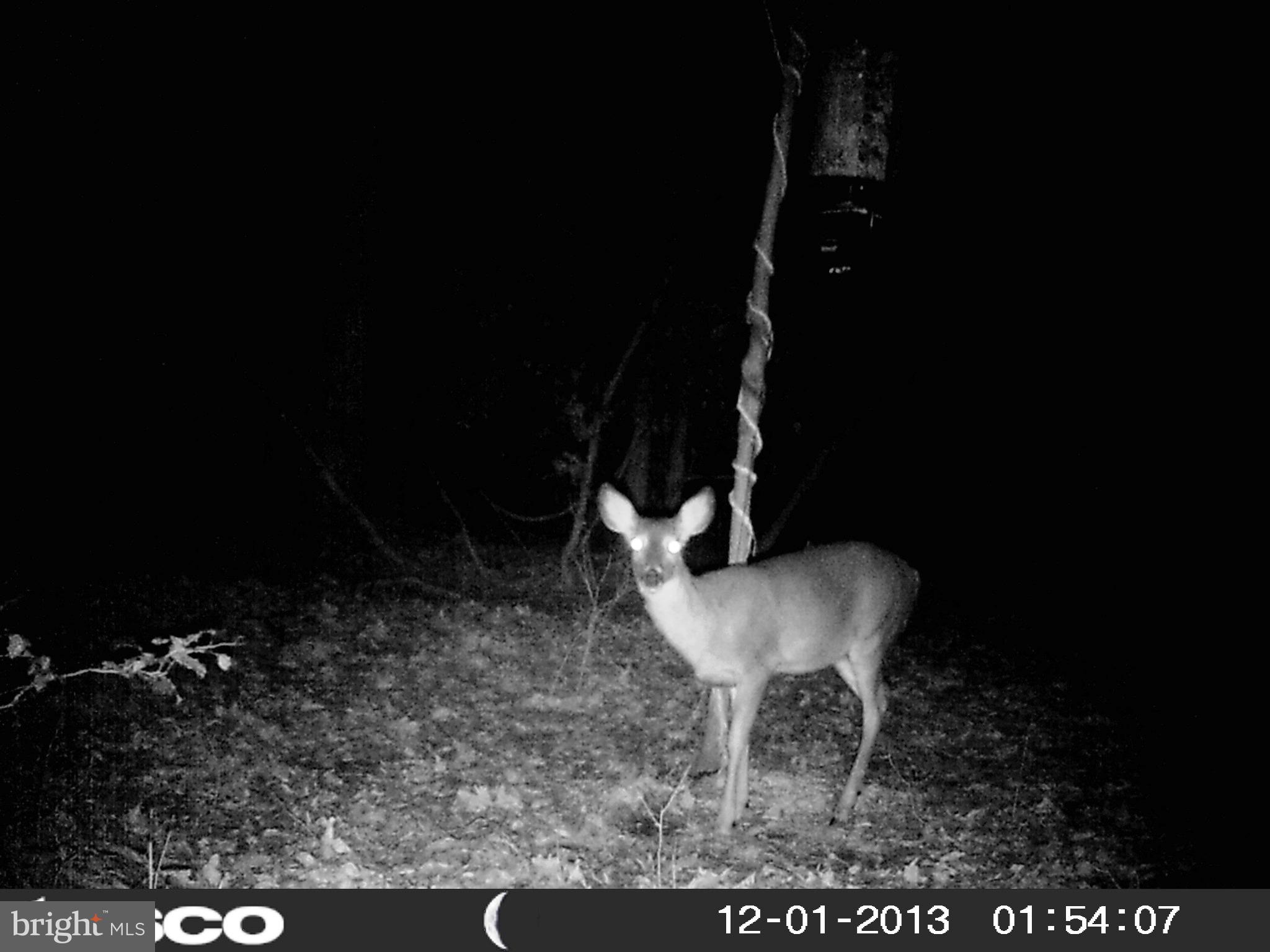 NONE AVAILABLE - Land