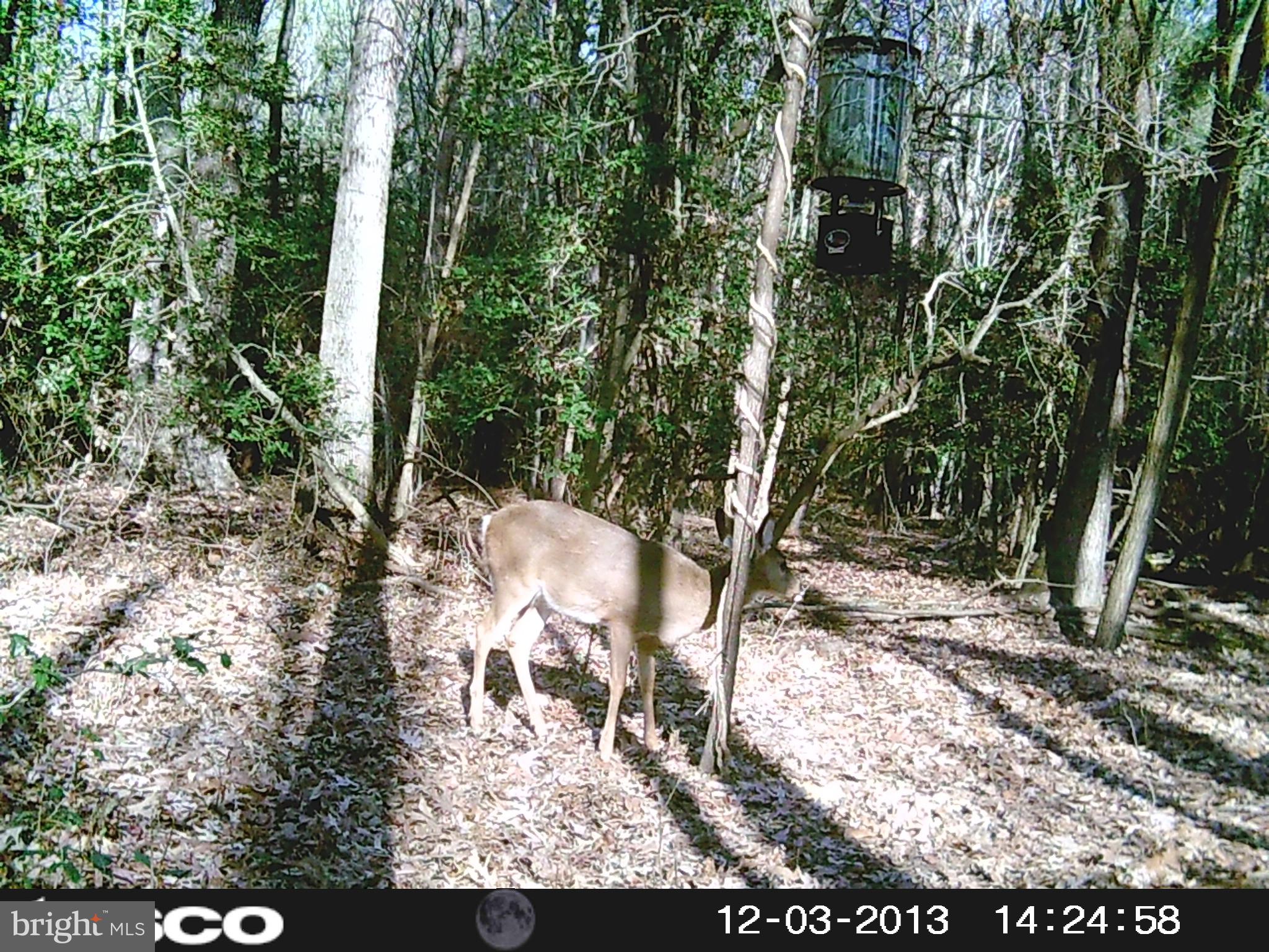 NONE AVAILABLE - Land