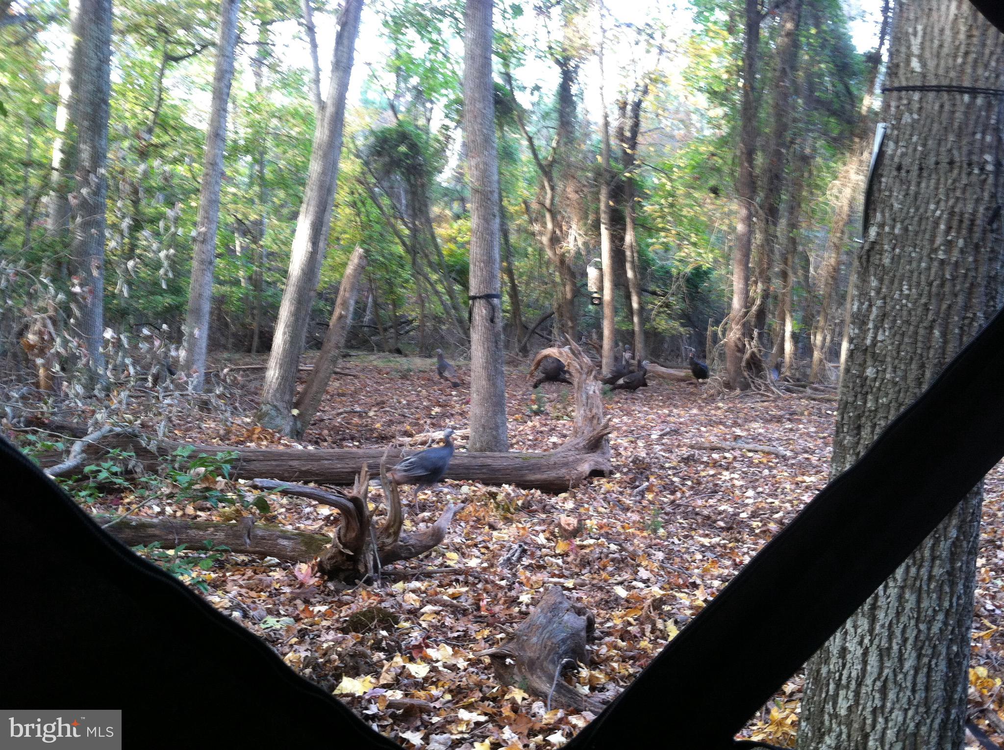 NONE AVAILABLE - Land