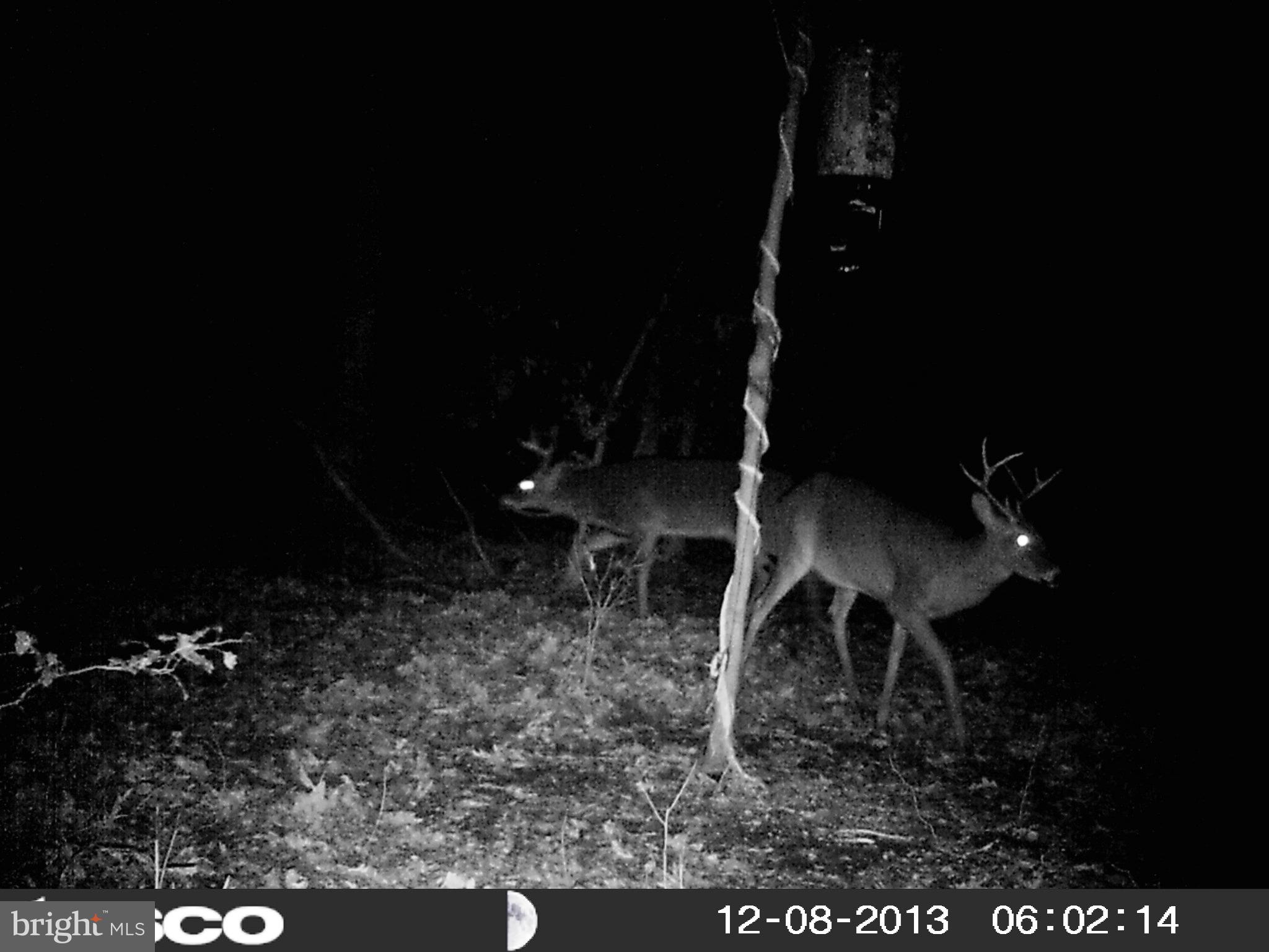 NONE AVAILABLE - Land