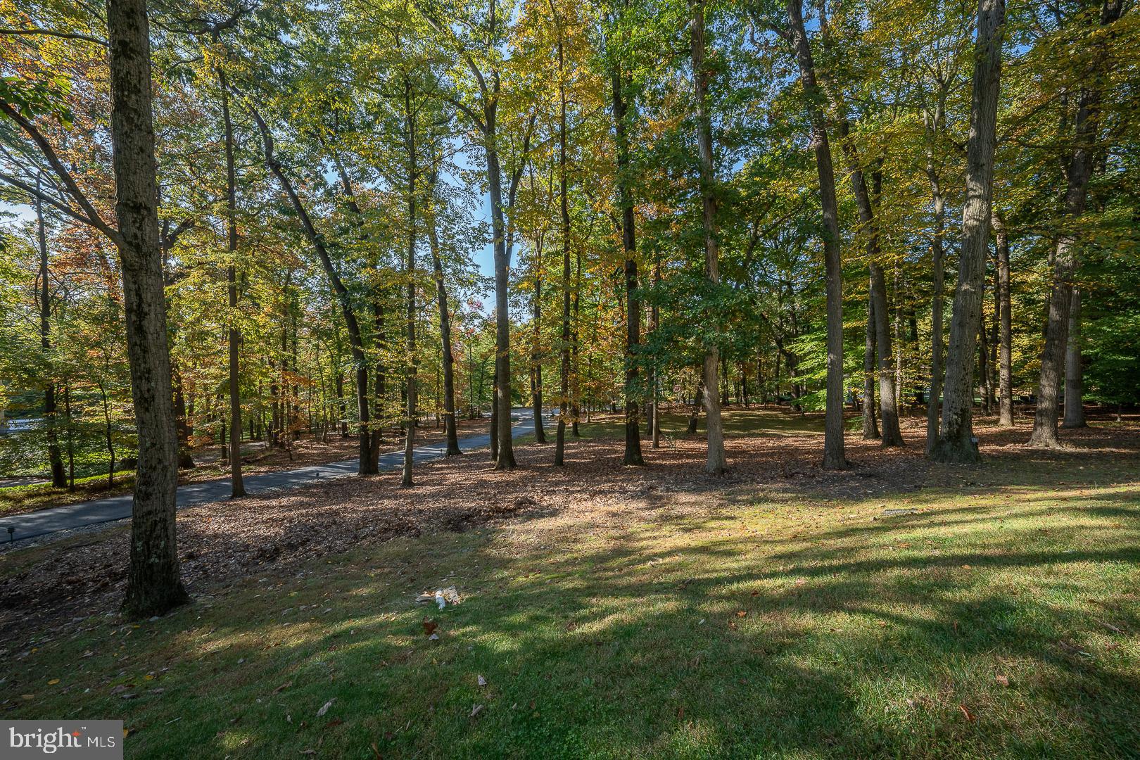 YELLOW SPRINGS - Residential