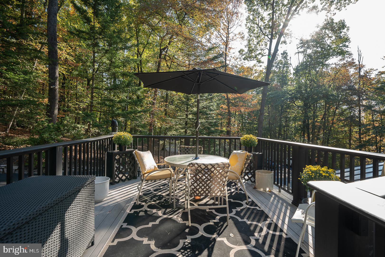 YELLOW SPRINGS - Residential