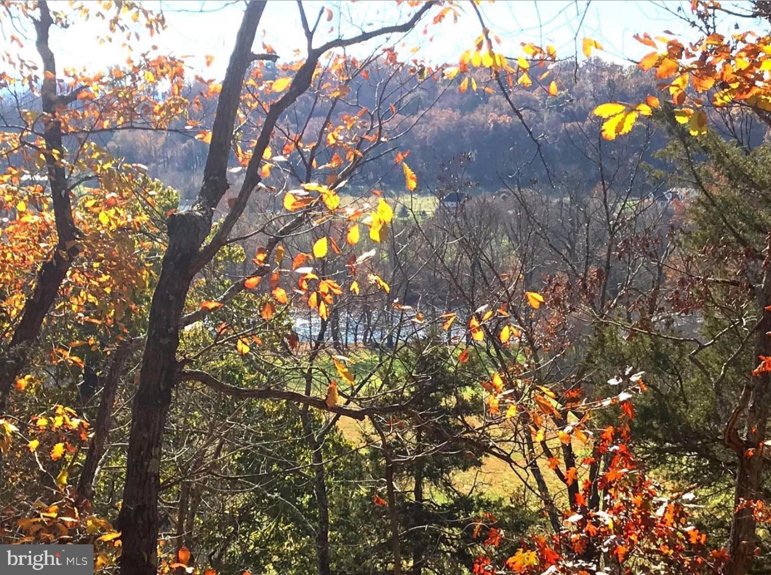 POCA BELLA FARM - Land