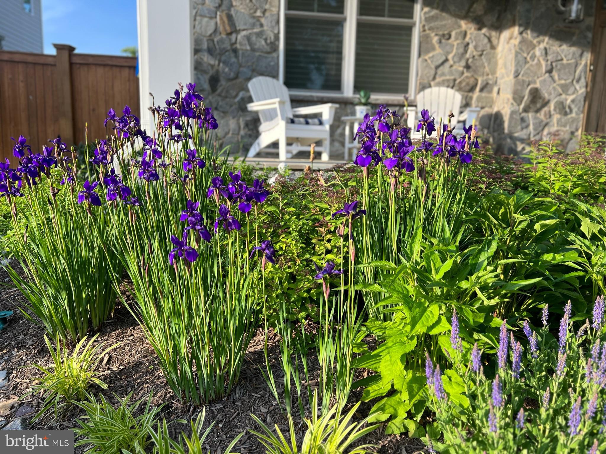 KENSINGTON ESTATES - Residential