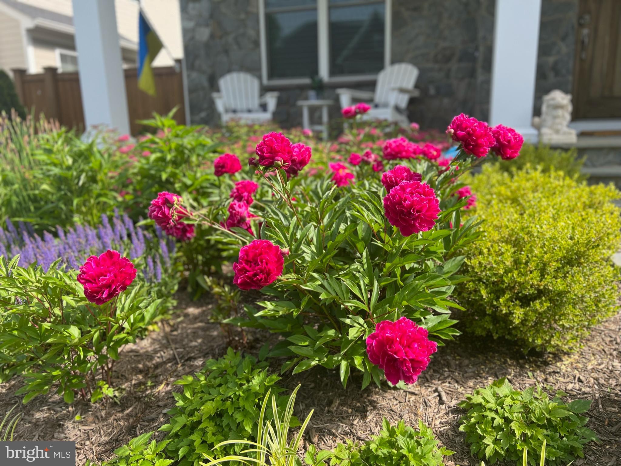 KENSINGTON ESTATES - Residential