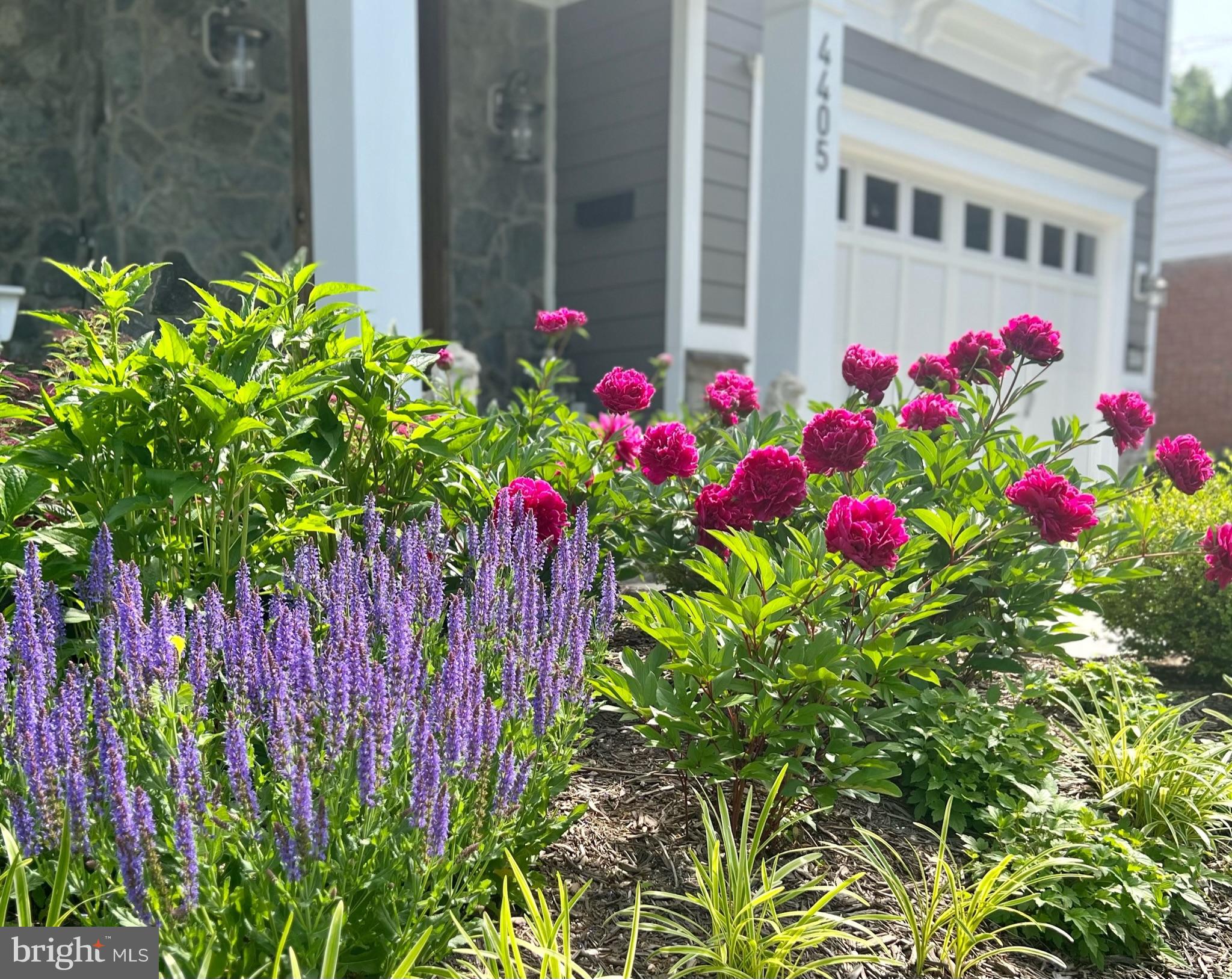 KENSINGTON ESTATES - Residential