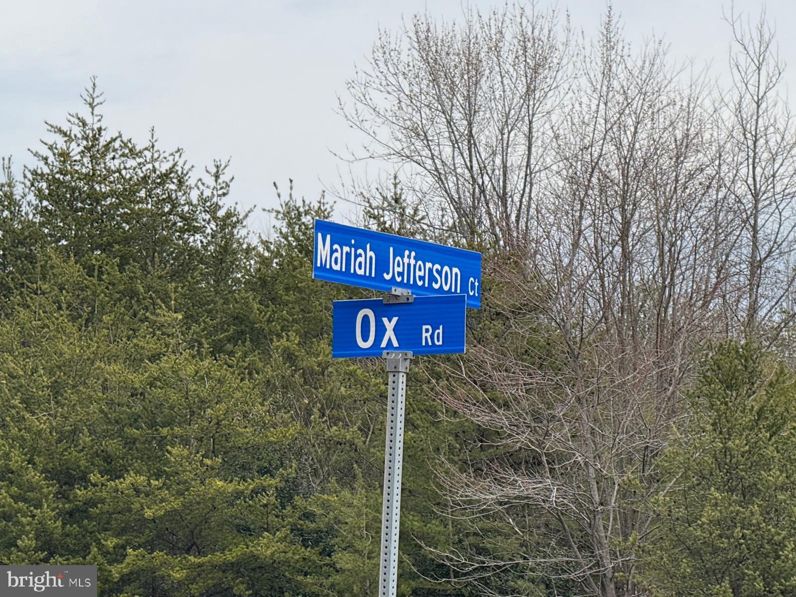 OCCOQUAN PARK - Land