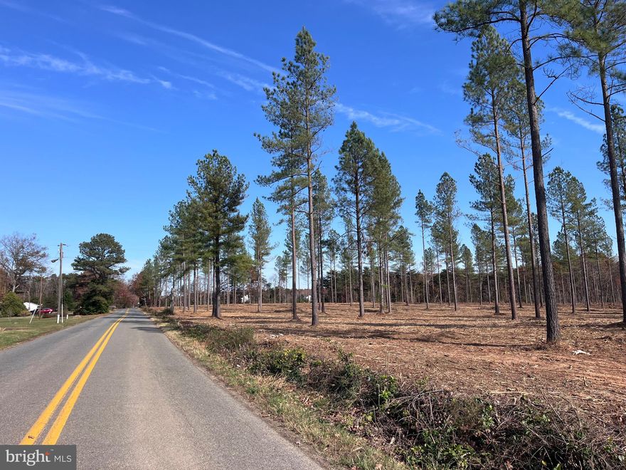 The Lawyers Seed tract is just shy of 15 acres with good road frontage on Lawyers rd in Spotsylvania County. This property lays flat to rolling with power, Soil work, and no restrictions. Located 25 minutes from Orange, 10 minutes to Lake Anna, 1 hour to Charlottesville & Richmond, and 35 minutes to Fredericksburg this property is located centrally to a ton of very nice places. The Timber on this tract is comprised of mature loblolly pine that was just thinned, and seed trees were left creating and almost Savanna like look to the property. This would make for a wonderful building site while still having acreage to hunt, ride 4 wheelers, and recreate. A creek runs along the back side of this property that is steadily flowing and year-round.