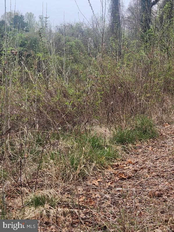 ST. MARYS BEACH - Land