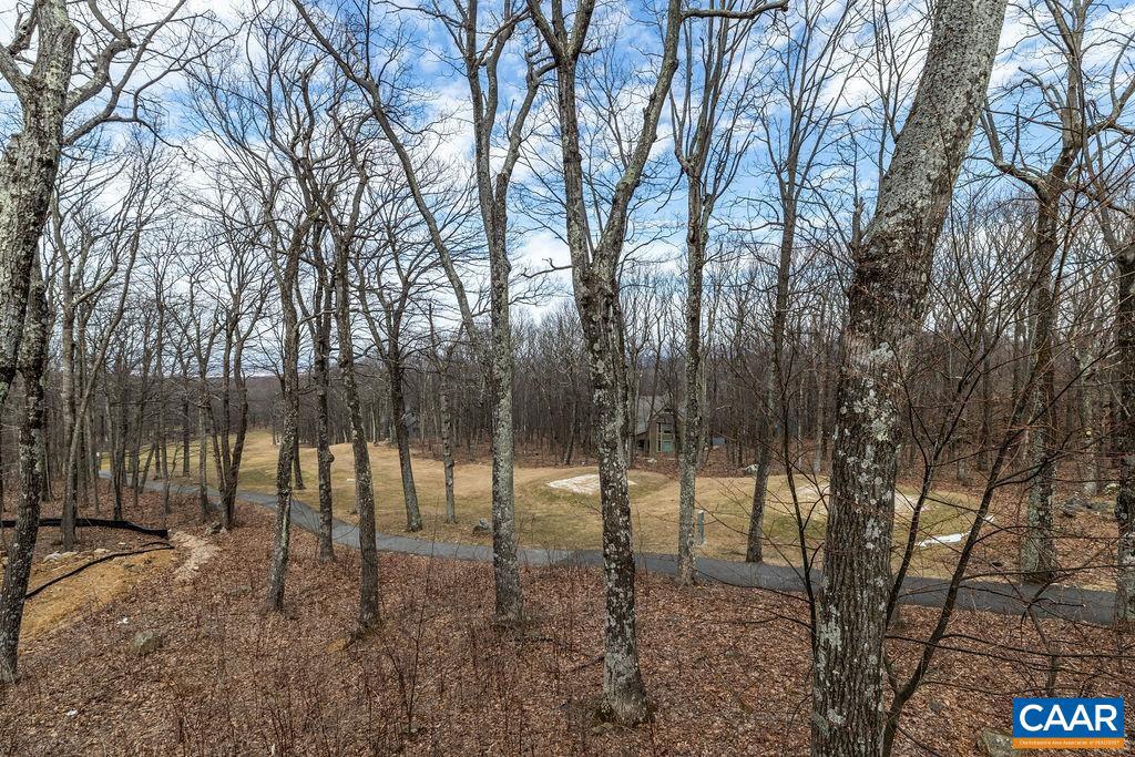 WINTERGREEN RESORT - Residential