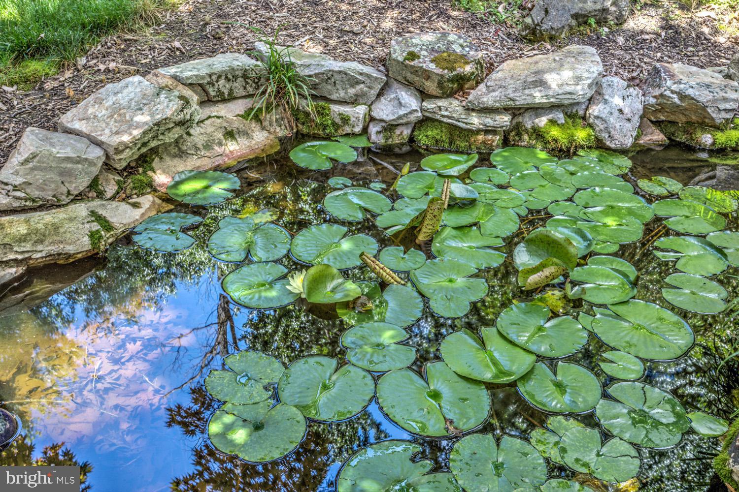 SALISBURY TWP - Residential