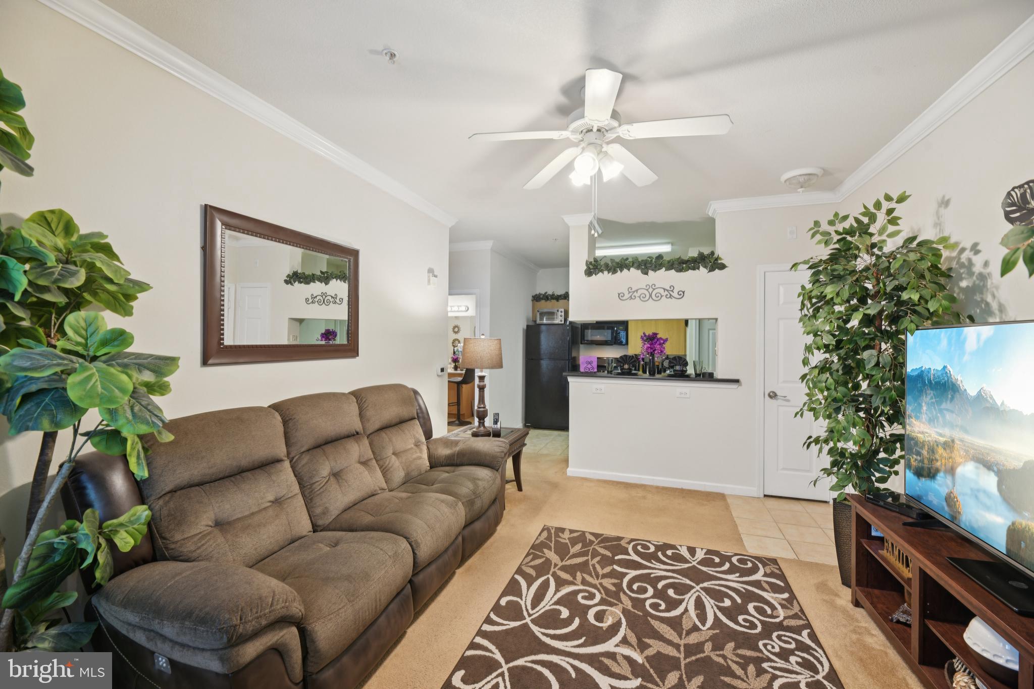 THE ASHMORE - Residential