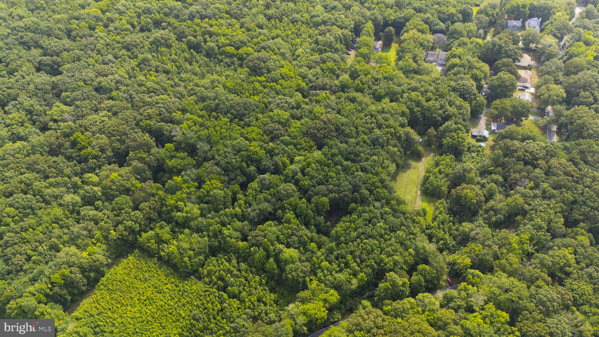 1514 COLUMBIA BEACH ROAD