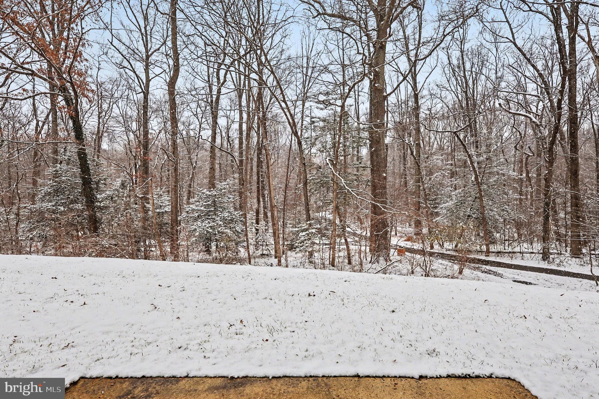 SHADOWOOD - Residential Lease